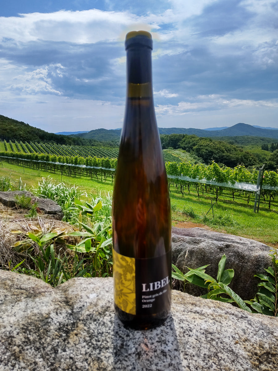 リベルオランジェピノグリdeHo2022 – かわうちワイナリー