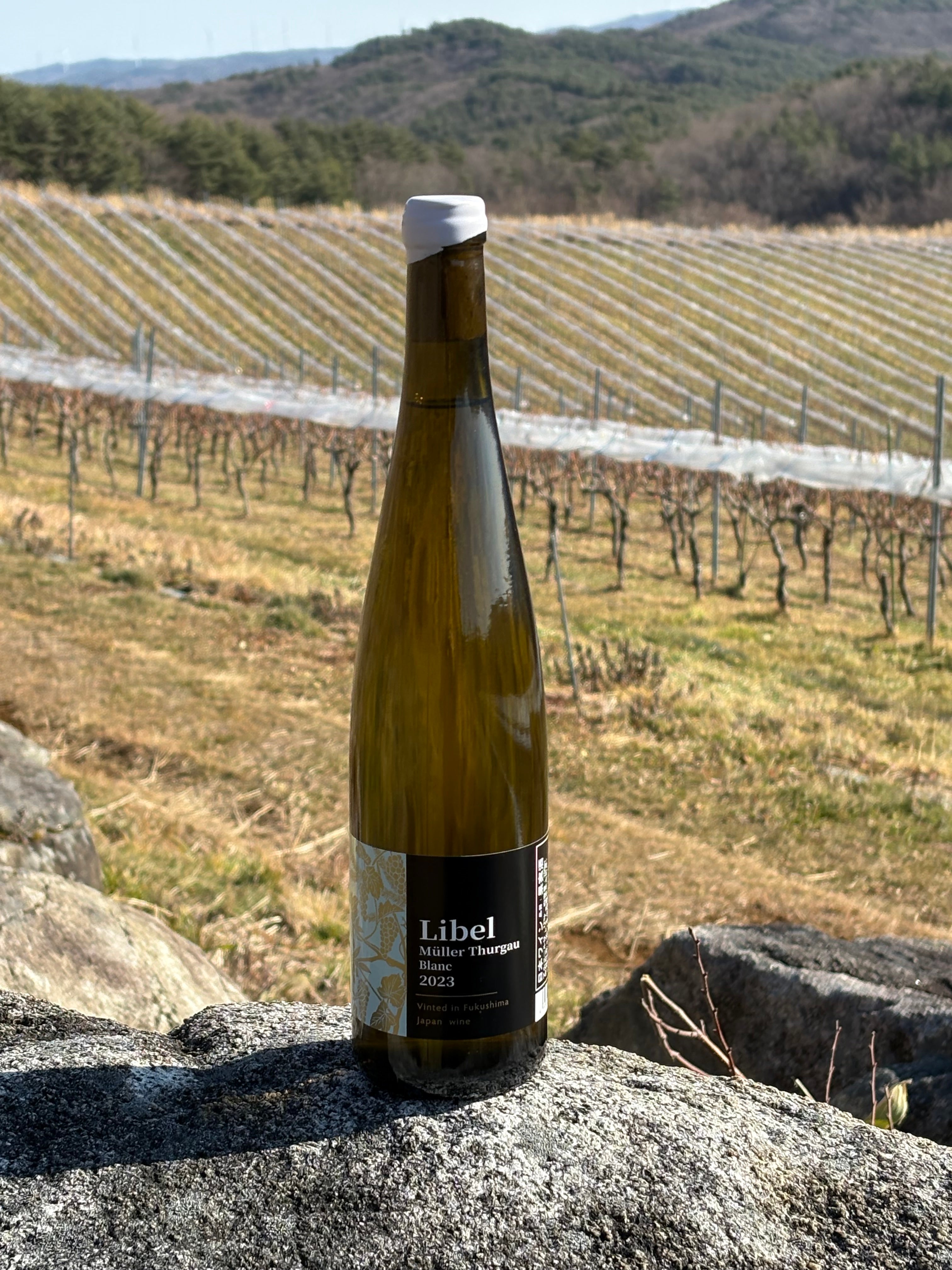 Volker Pfuller \"Tierlein \" リノカット 限定500部 Filep, Furmint & Hárslevelű, Tokaj, Hungary 2022 – Shawn Fine Wine