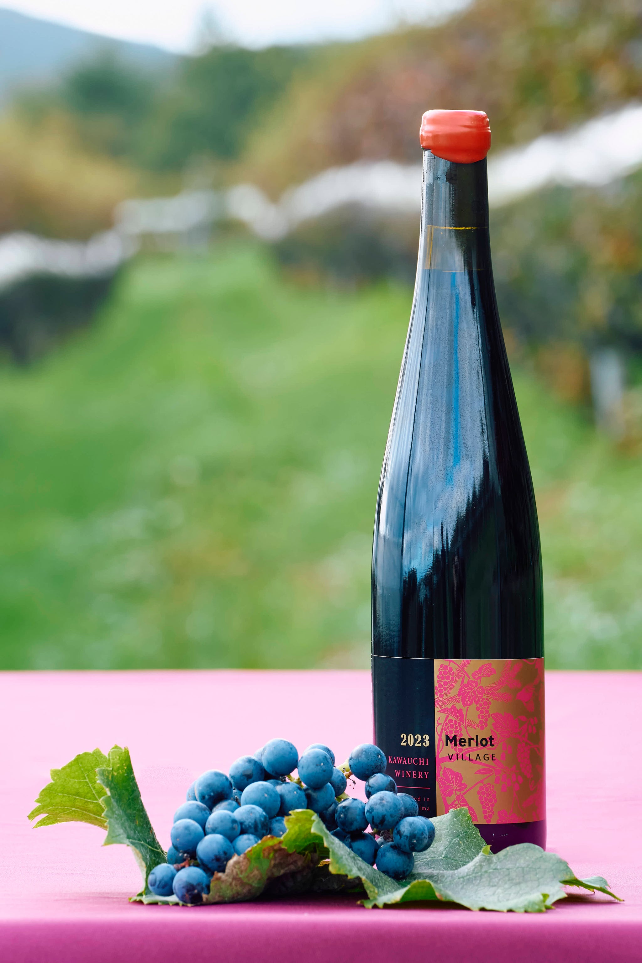KIEI メルロ 2018 & ケルナー 2022 セット　河内ワイン 千歳ワイナリー 北ワイン 2022 ケルナー KERNER KIMURA VINEYARD 750ml
