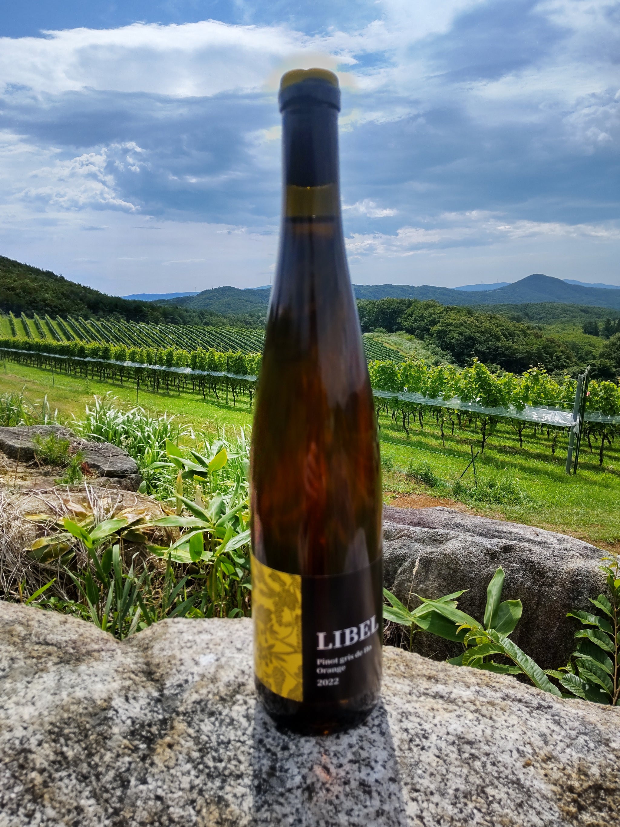 ワイン @b B！ヴィーニョ・ヴェルデ［白］ – 柴田屋酒店 online