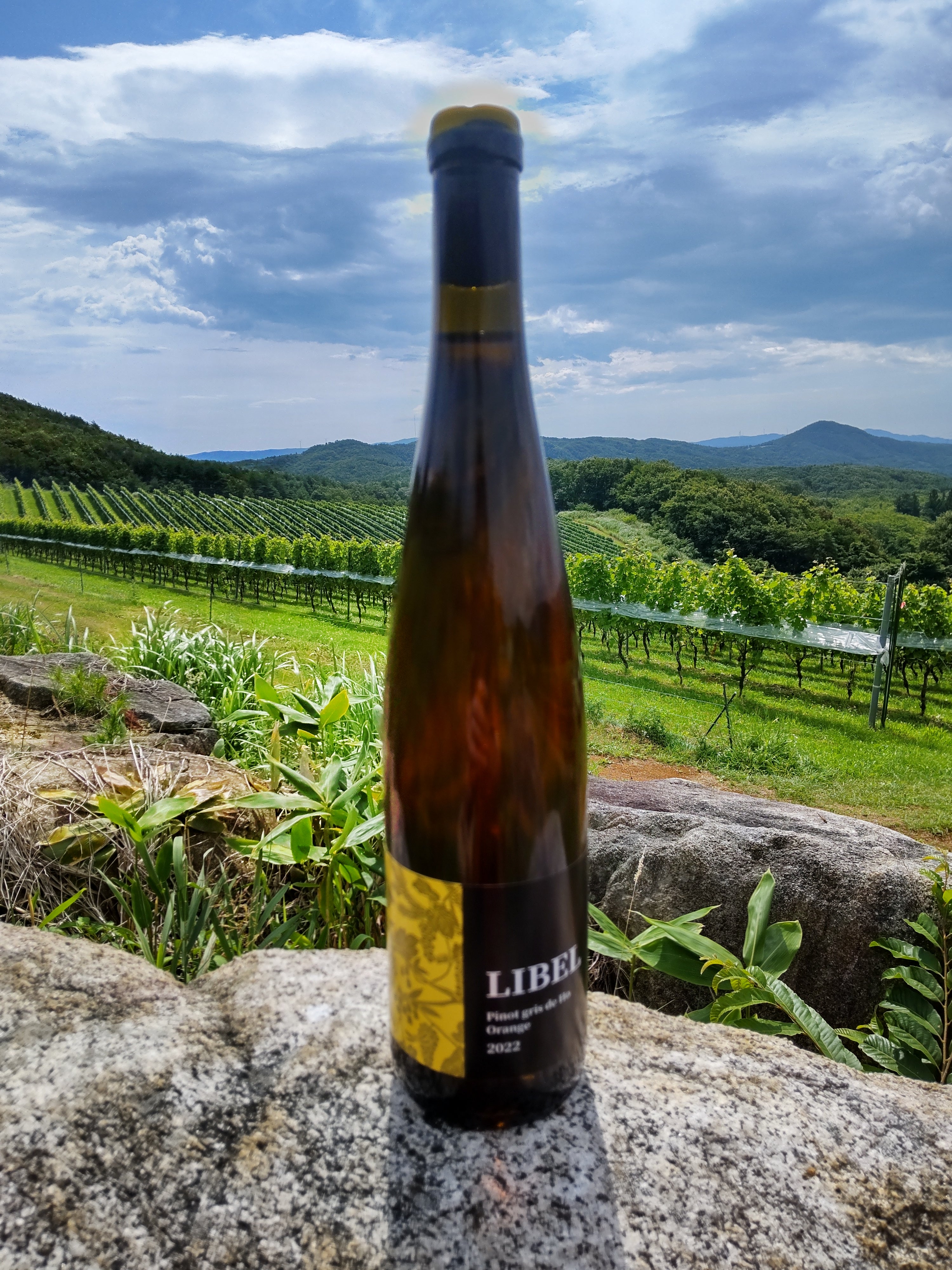 ワイン樽 PGO_3000x.jpg?v=1721956899