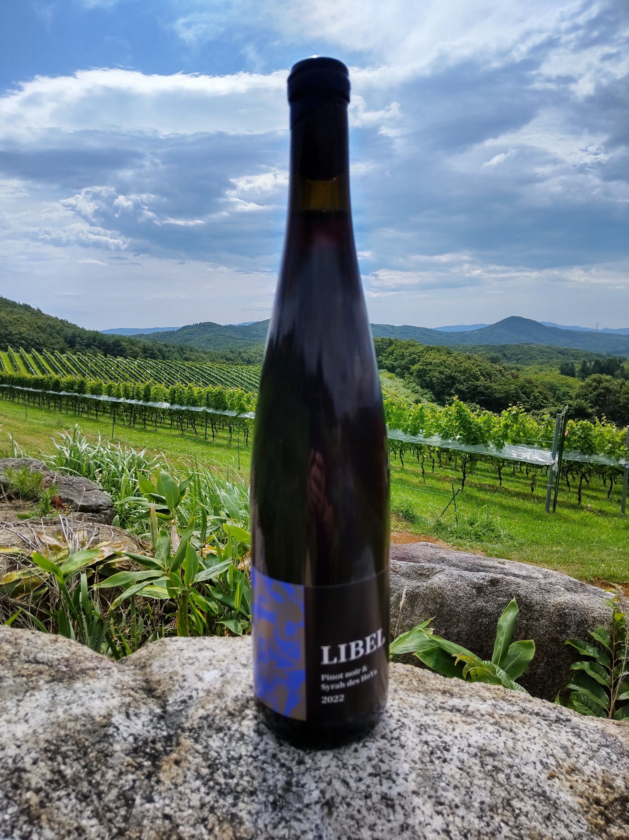 リベルピノノワール＆シラーdesHoYa2022 – かわうちワイナリー